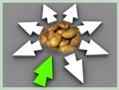 Картофель - Каналы сбыта картофеля Картофель - Каналы сбыта картофеля